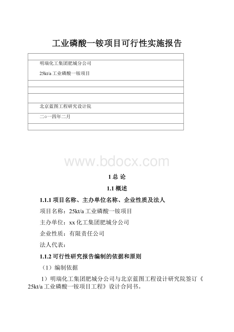 工业磷酸一铵项目可行性实施报告.docx