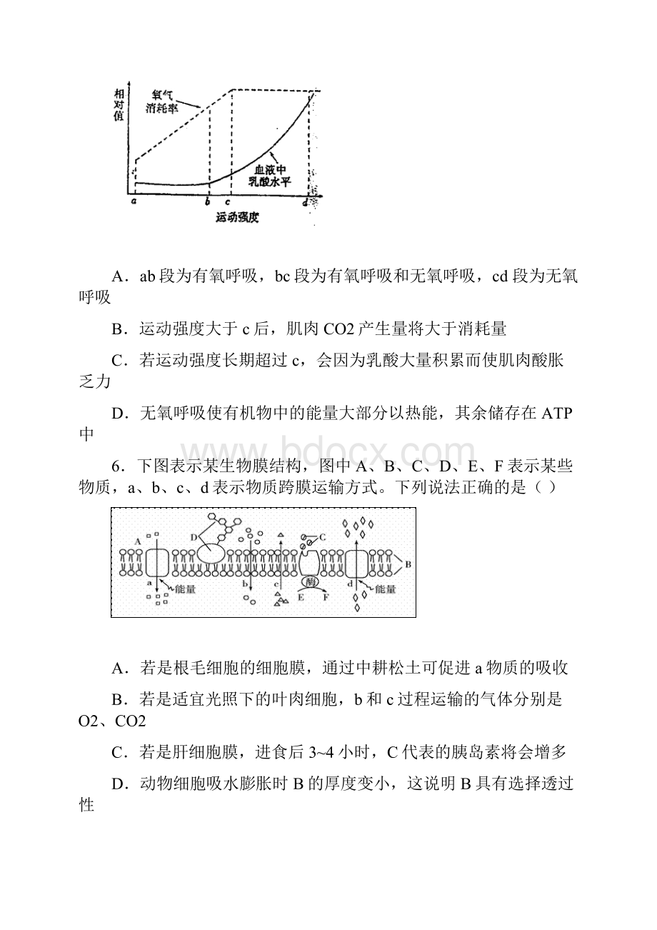 高二生物细胞呼吸影响因素.docx_第3页