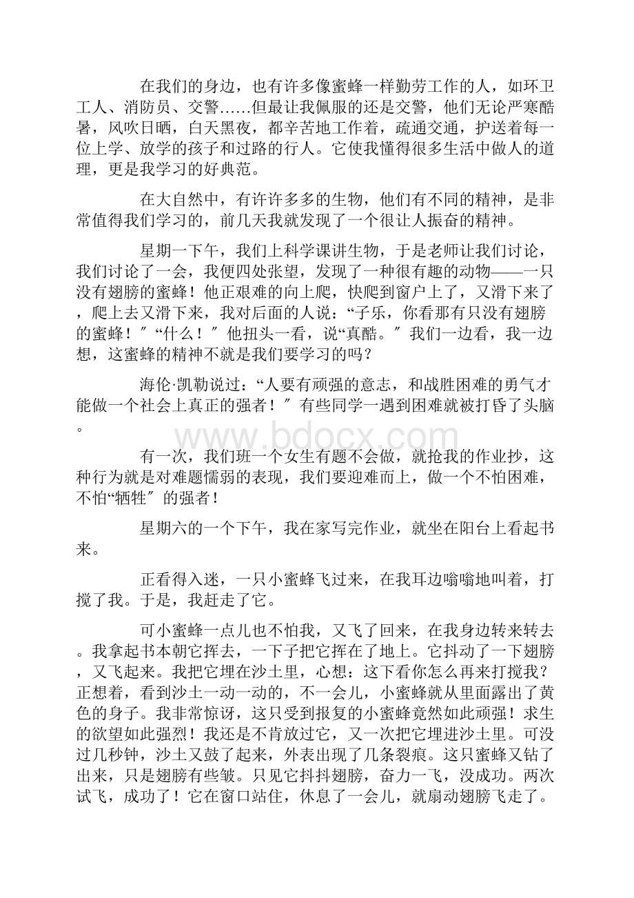 蜜蜂的启示作文通用15篇范文.docx_第2页