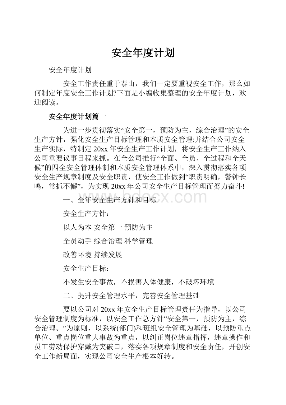 安全年度计划.docx_第1页