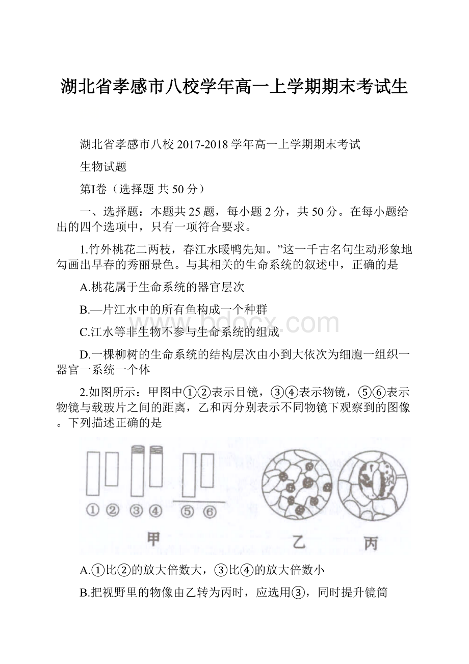 湖北省孝感市八校学年高一上学期期末考试生.docx