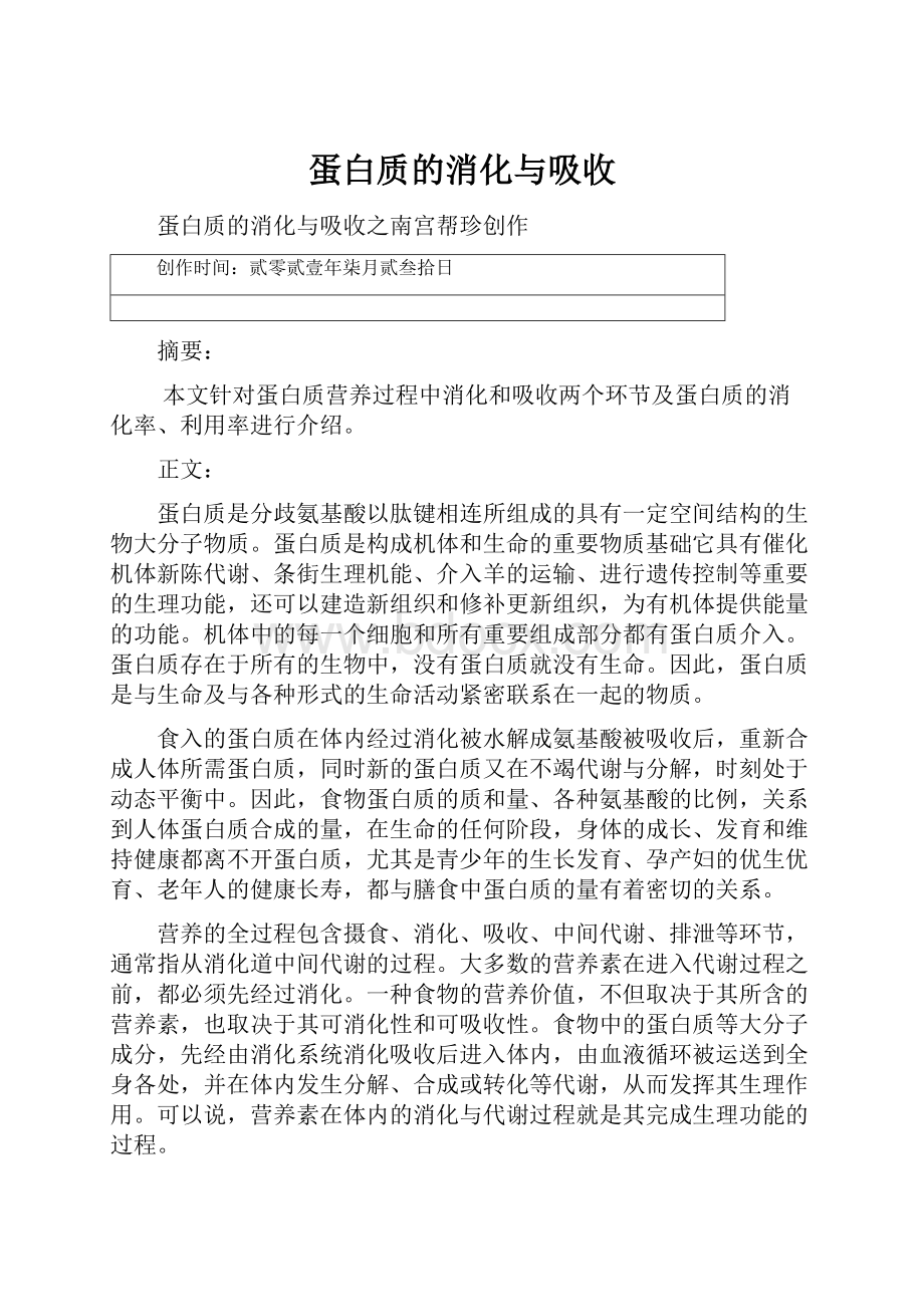 蛋白质的消化与吸收.docx_第1页