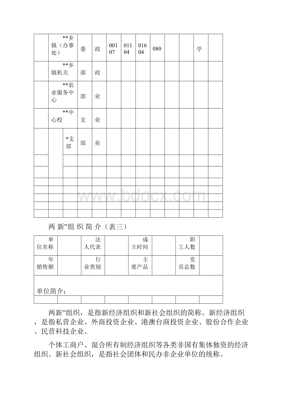 党的基层组织五基建设台帐表格.docx_第3页