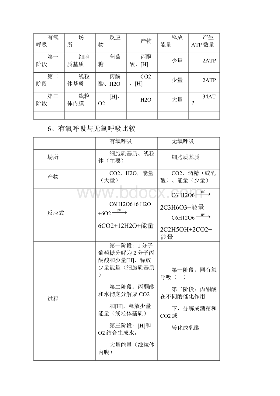 《细胞的能量供应和利用》知识总结.docx_第3页