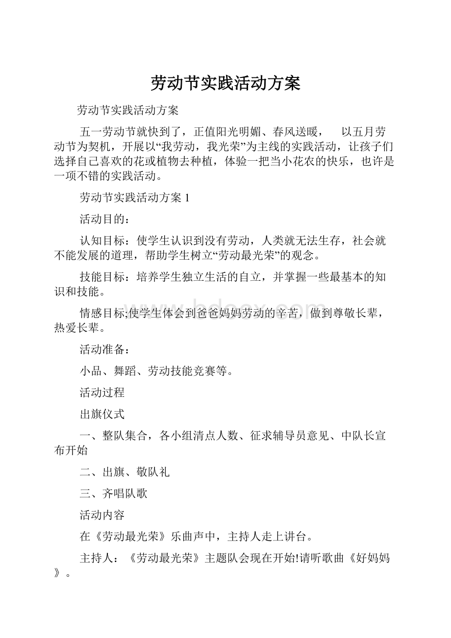 劳动节实践活动方案.docx