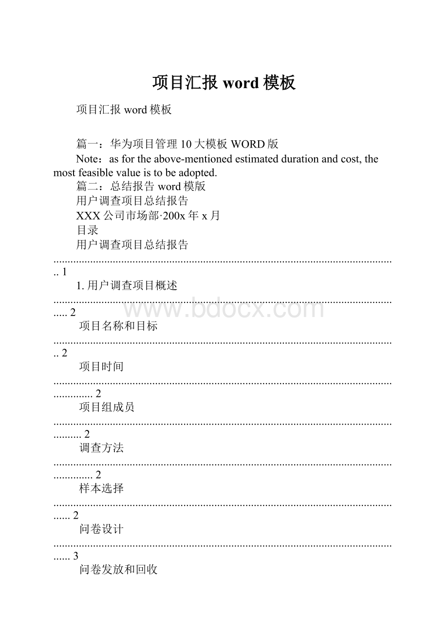 项目汇报word模板.docx_第1页