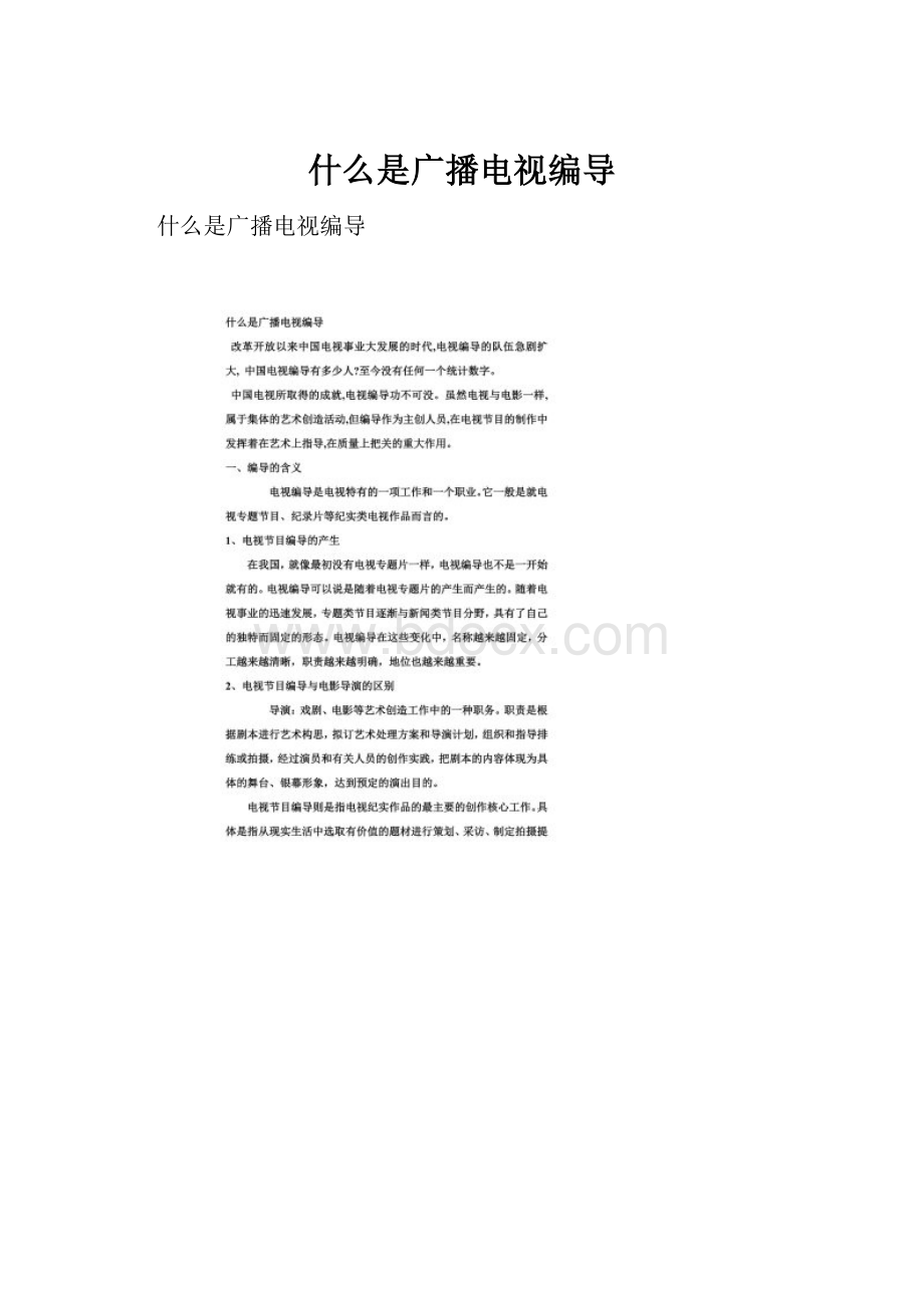 什么是广播电视编导.docx_第1页