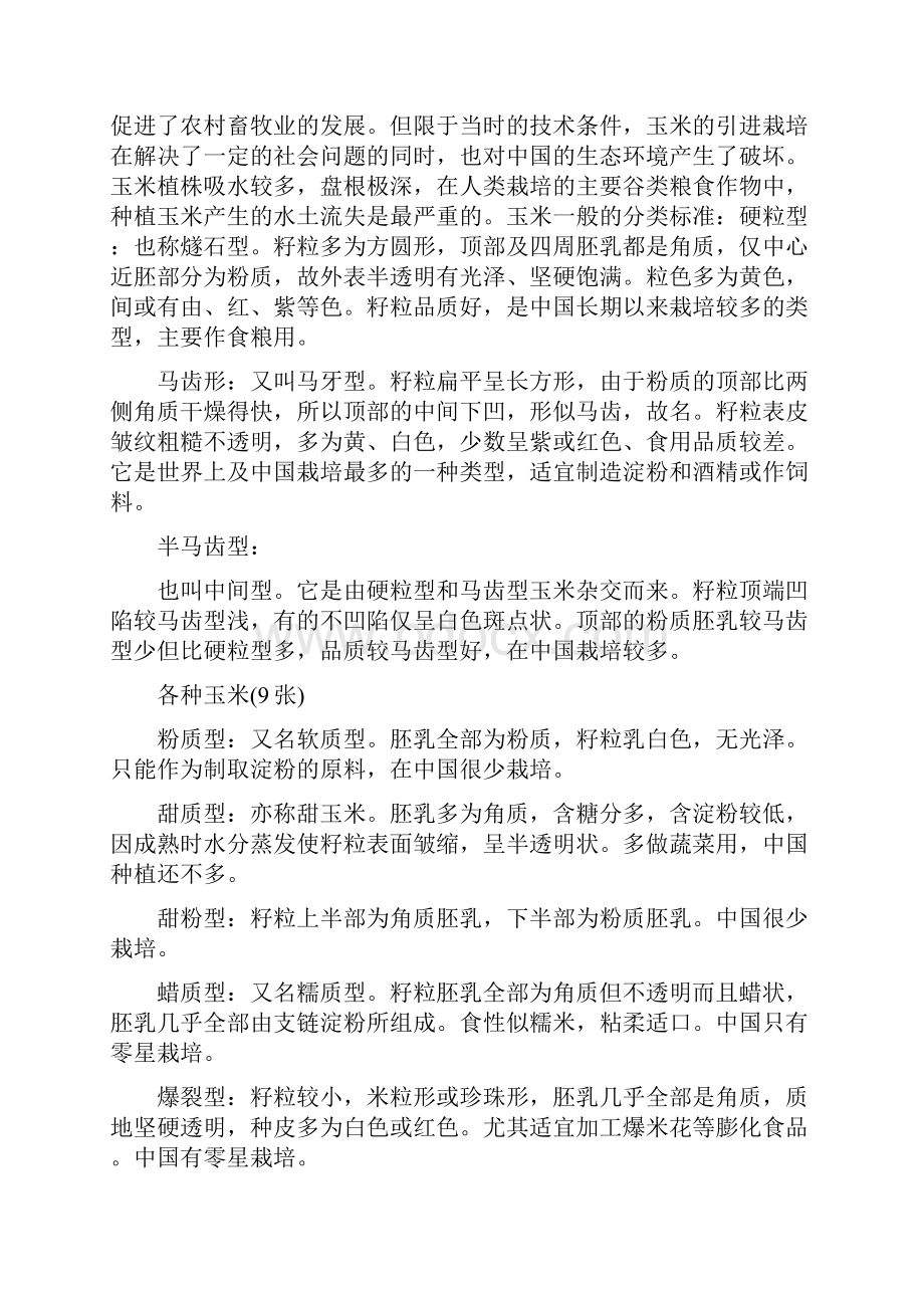 玉米实习报告.docx_第2页