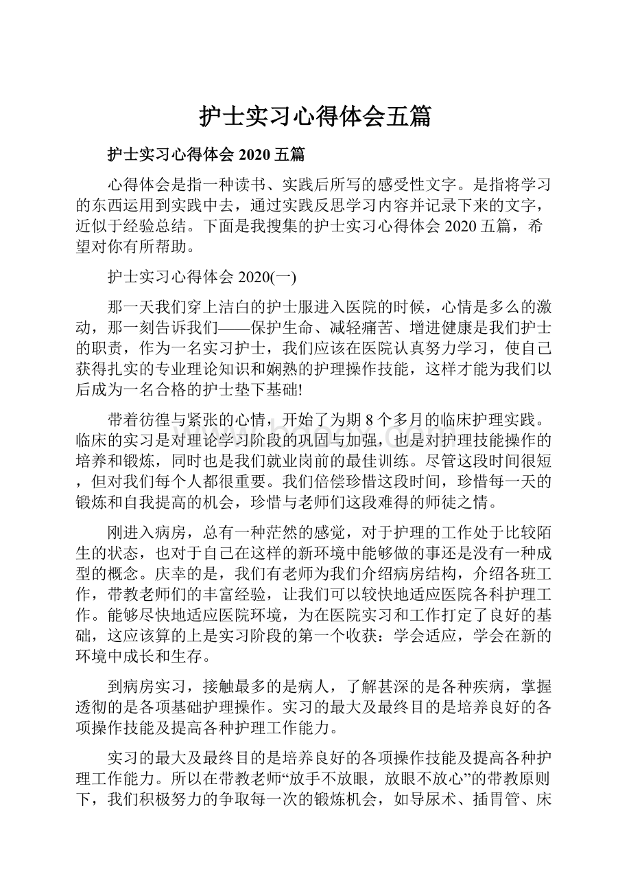 护士实习心得体会五篇.docx