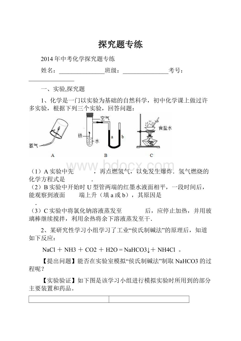 探究题专练.docx_第1页