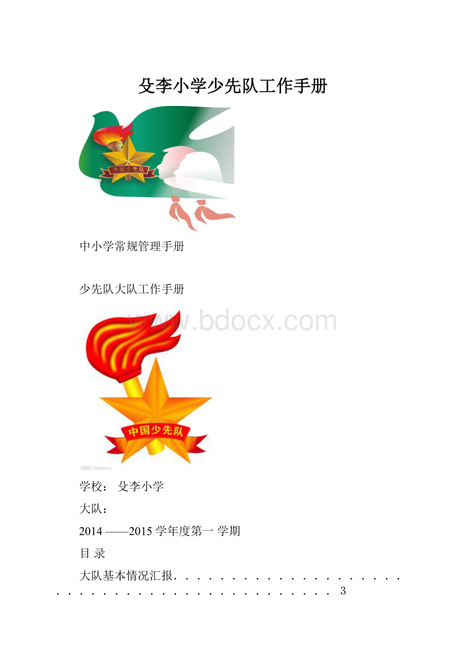 殳李小学少先队工作手册.docx