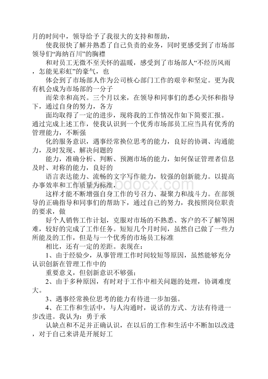 销售每日工作总结.docx_第2页