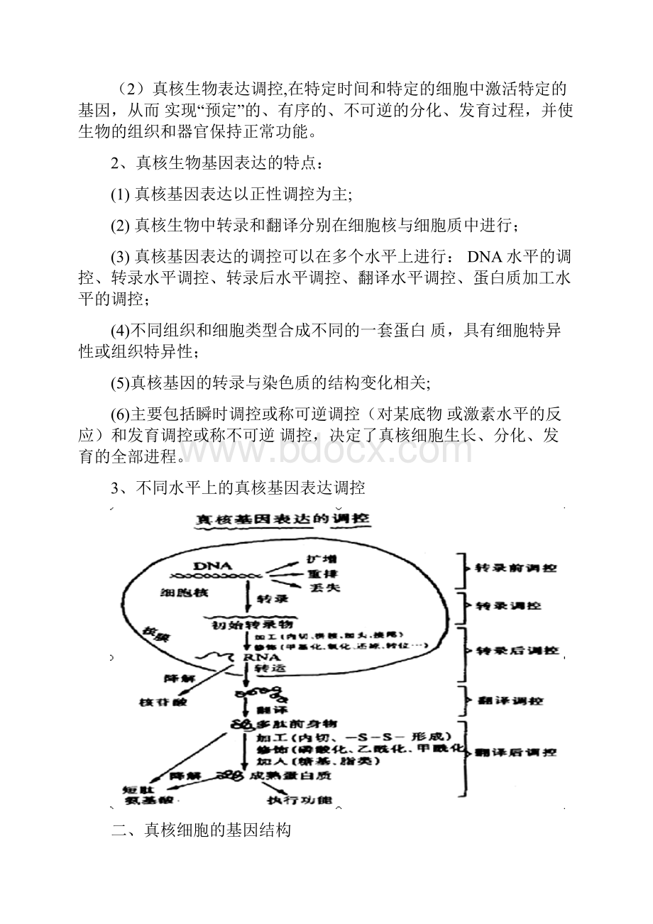 第八章 真核基因的表达调控.docx_第2页