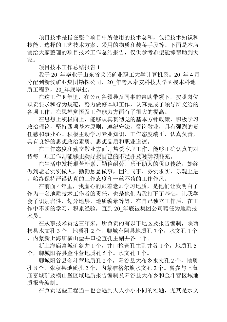 项目技术工作总结报告.docx_第2页