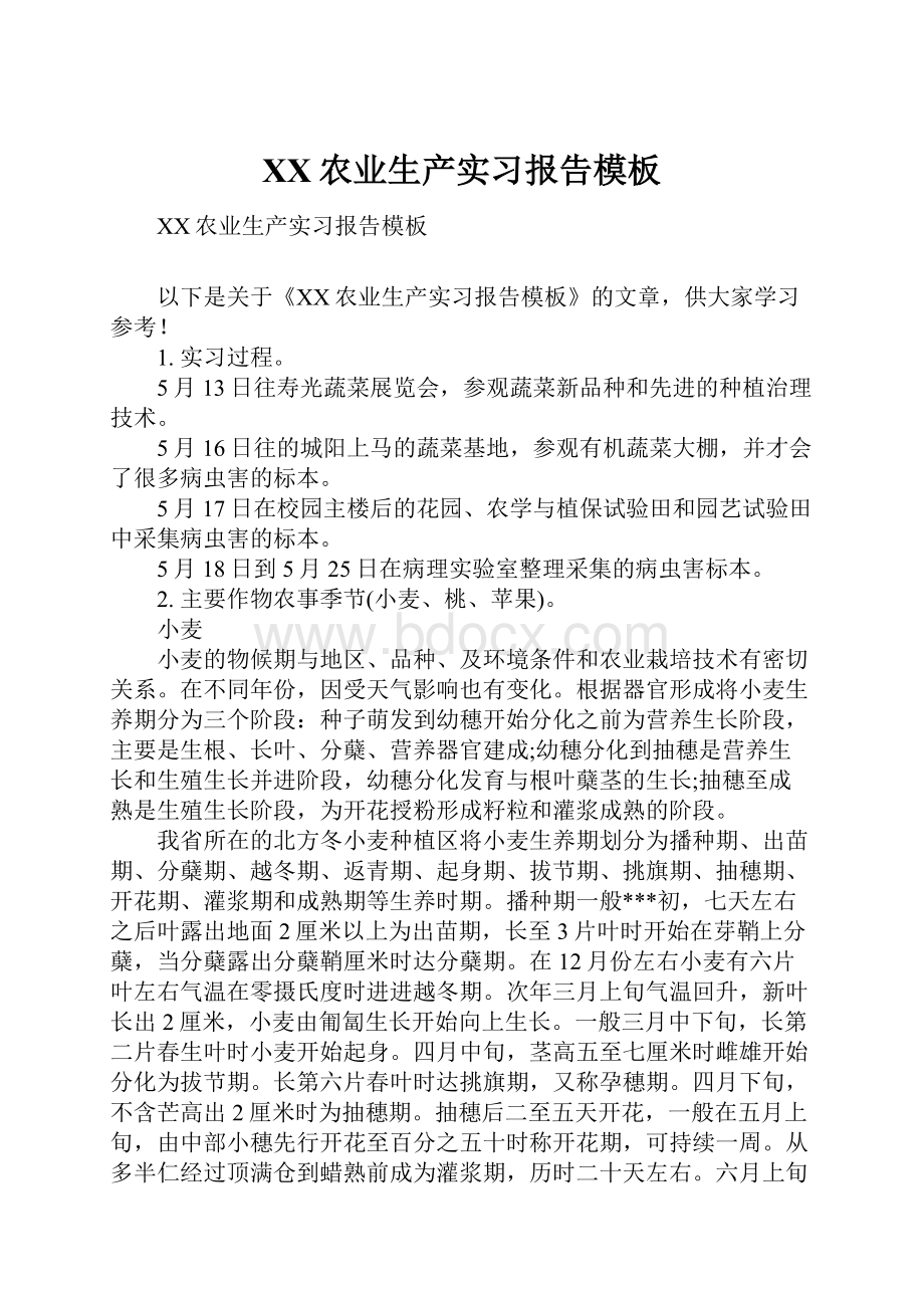 XX农业生产实习报告模板.docx_第1页