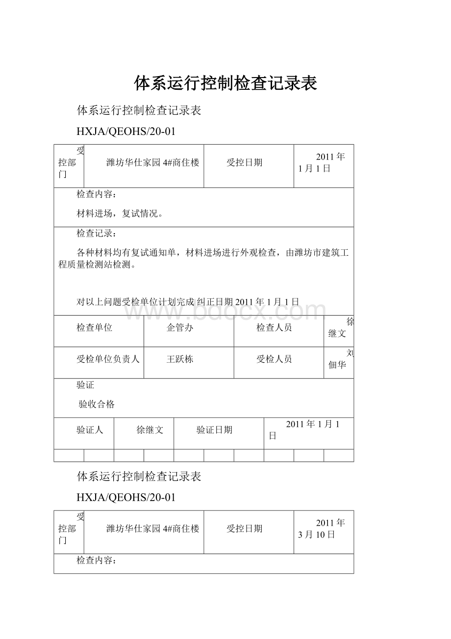 体系运行控制检查记录表.docx