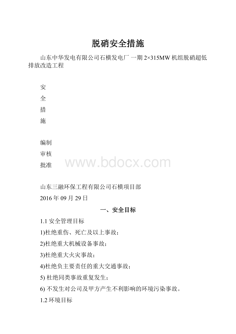 脱硝安全措施.docx