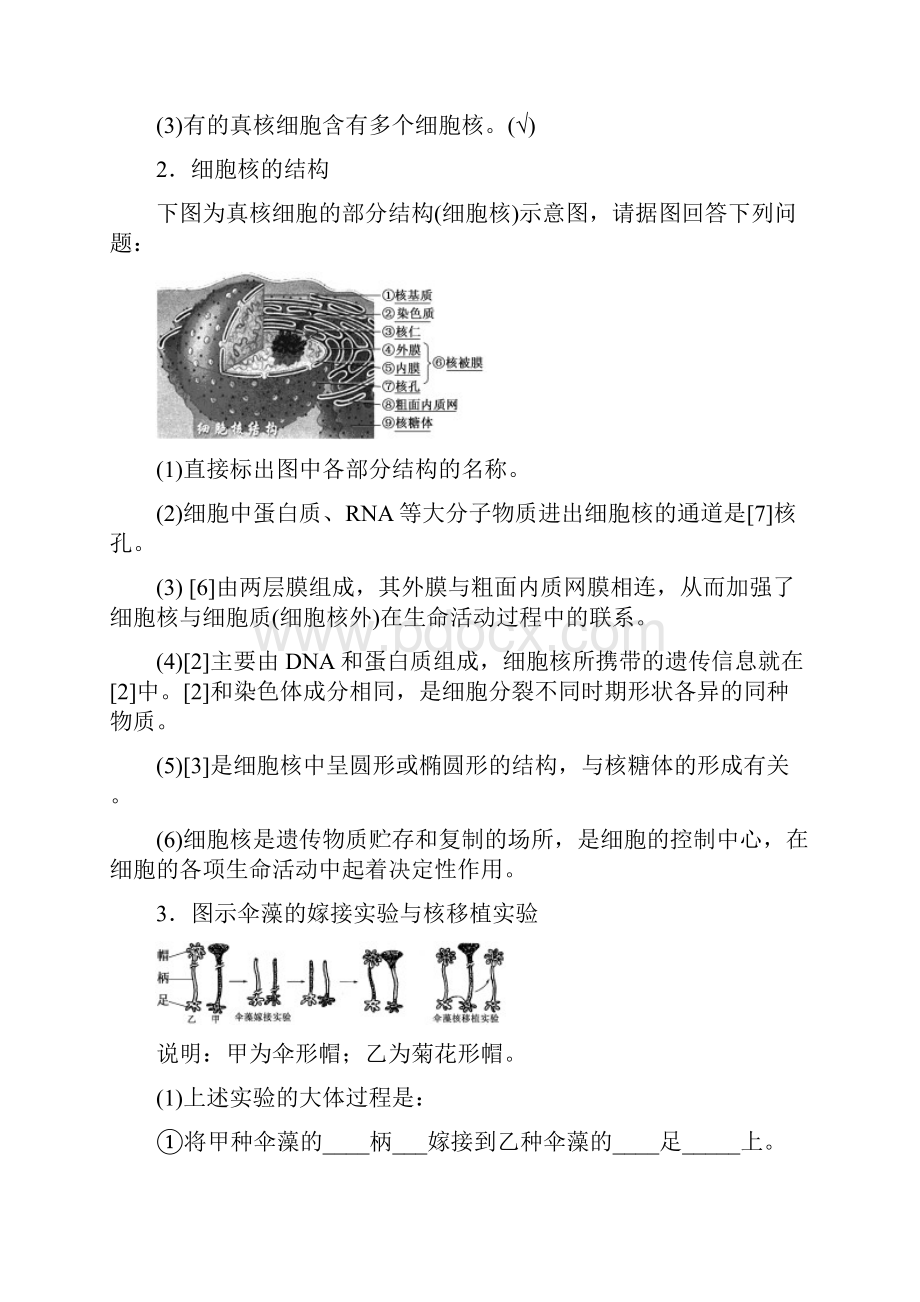 高中生物浙科版必修1教学案第二章 第四五节 细胞核 原核细胞含答案.docx_第2页