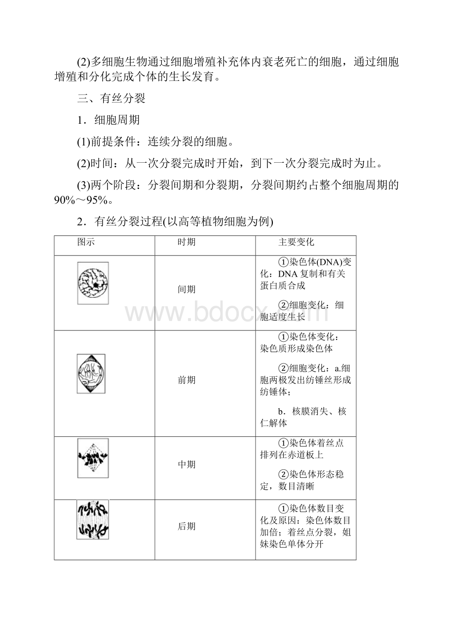 高中生物第6章第1节第1课时细胞周期和有丝分裂过程教案新人教版.docx_第2页