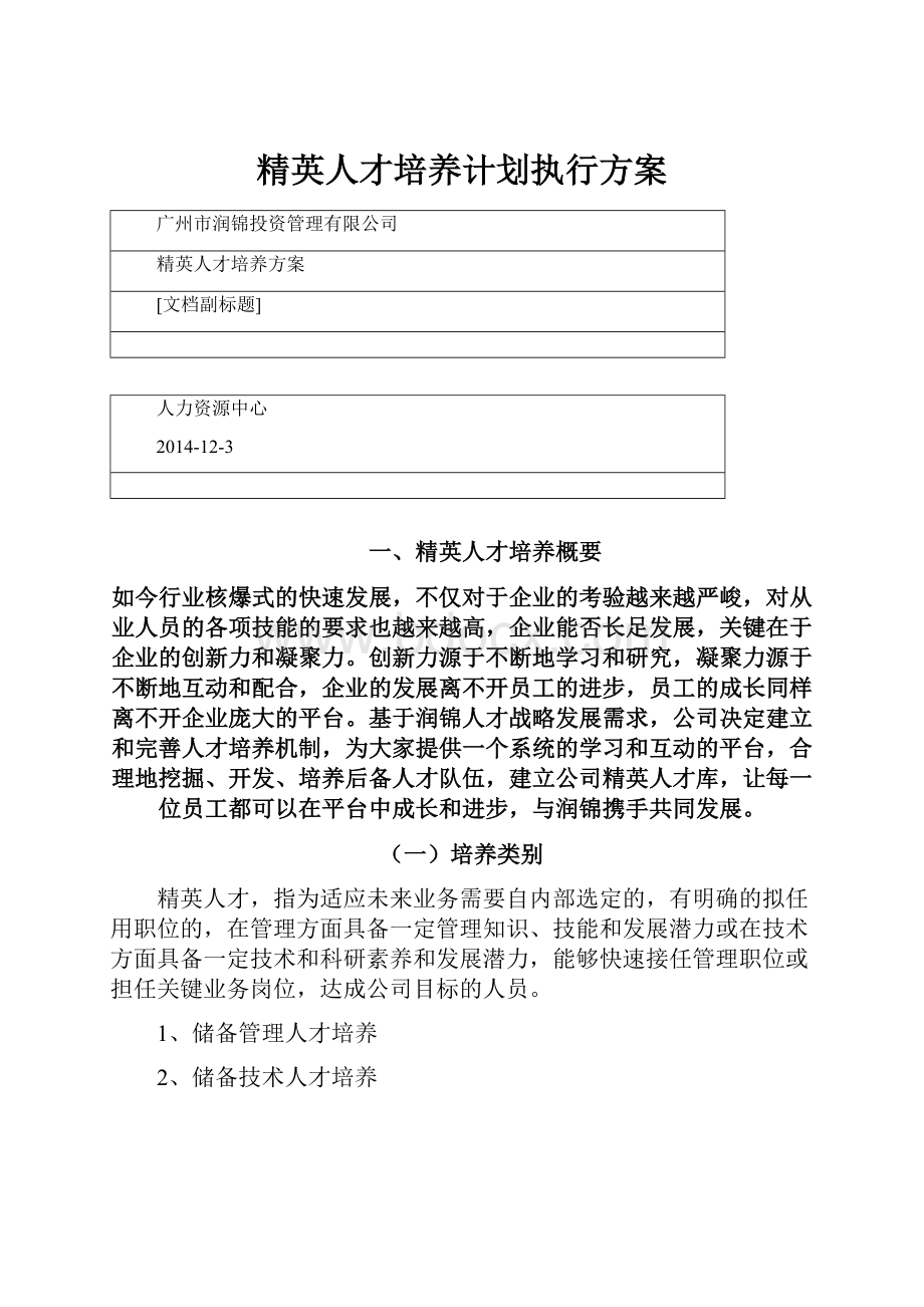 精英人才培养计划执行方案.docx