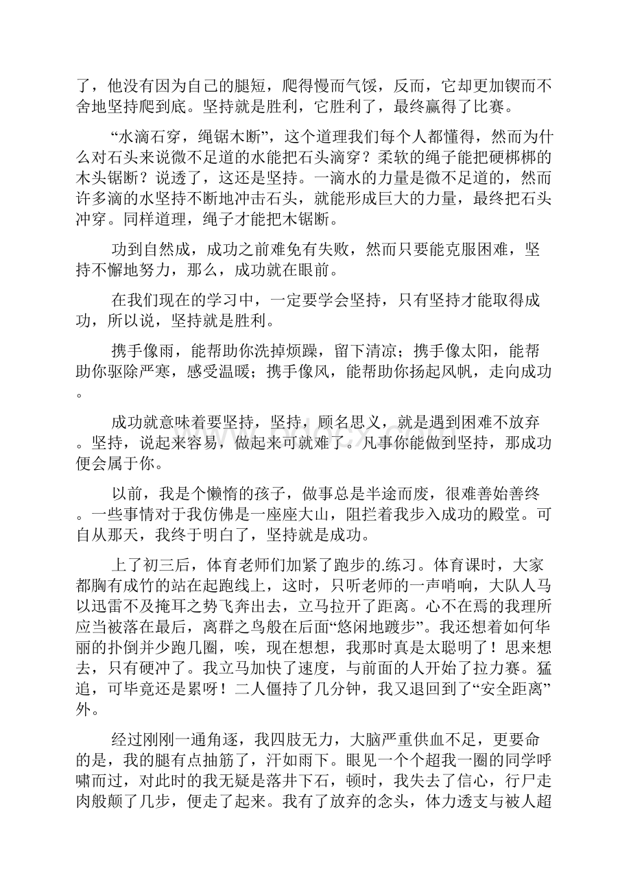 坚持与努力的演讲稿.docx_第2页