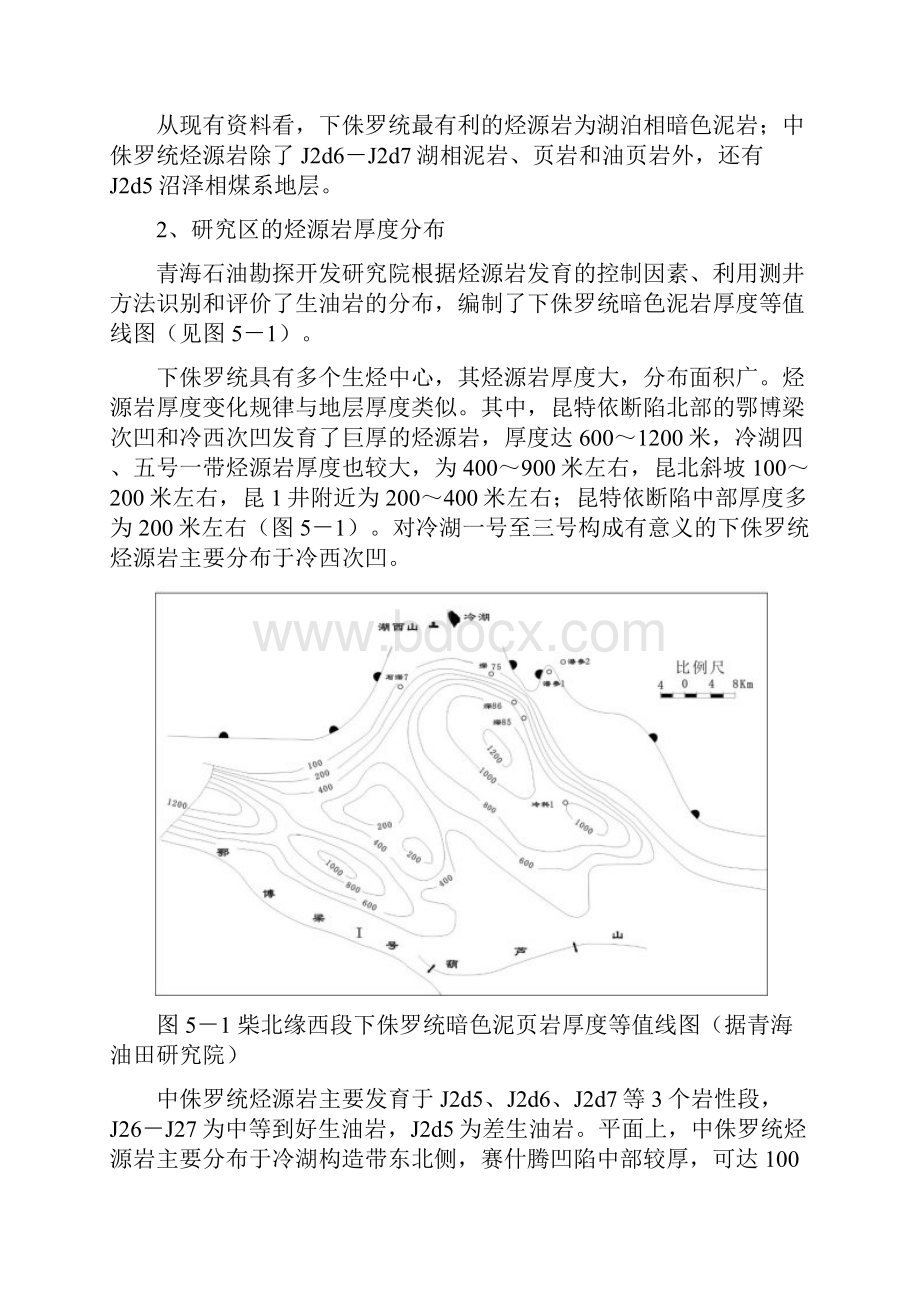 第五章烃源岩特征.docx_第2页