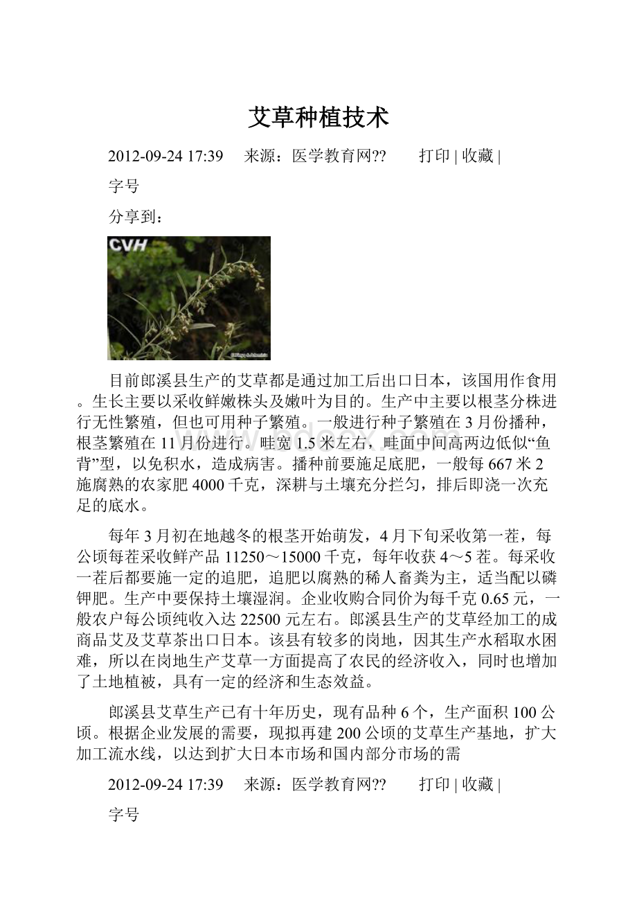 艾草种植技术.docx