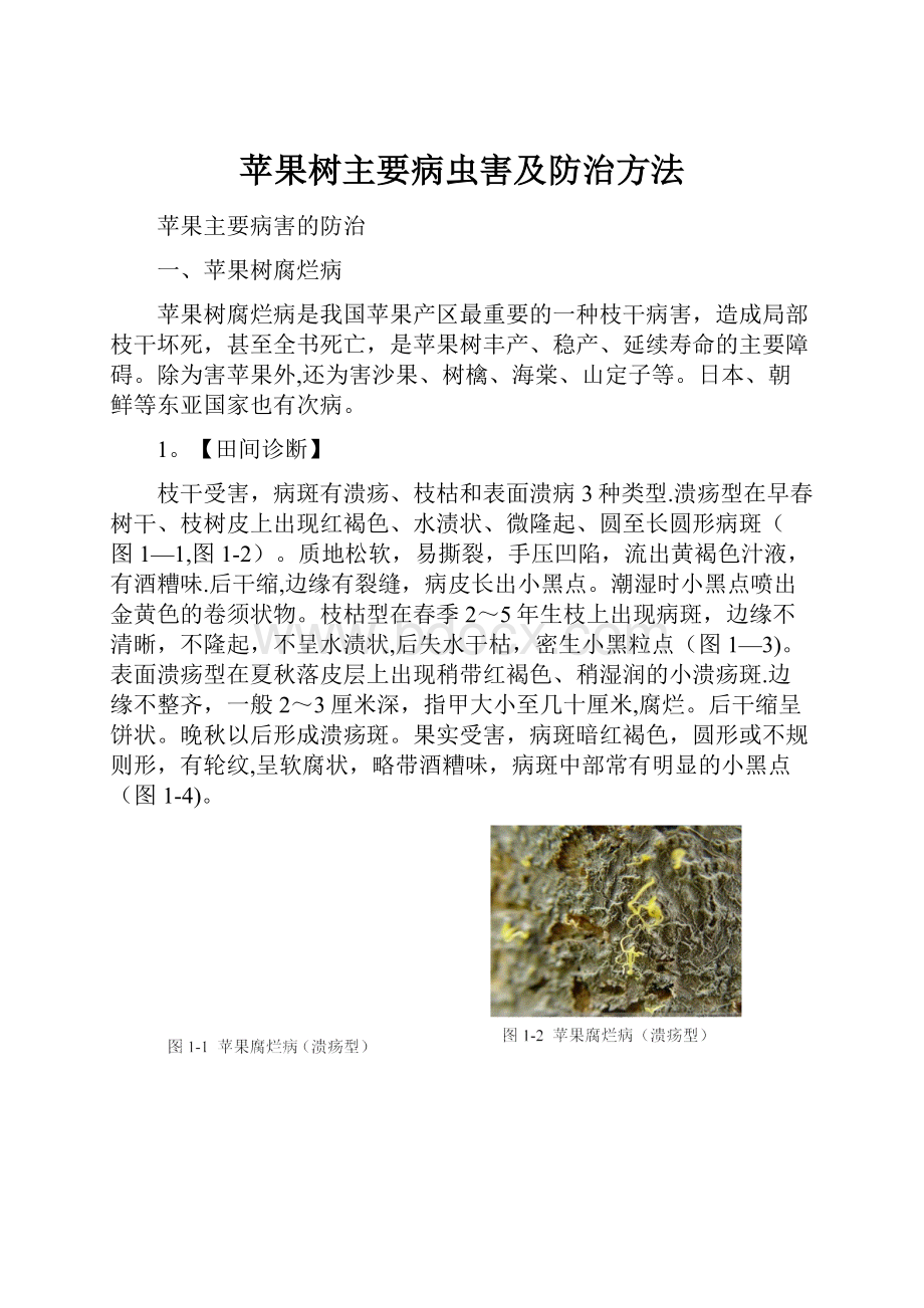 苹果树主要病虫害及防治方法.docx_第1页