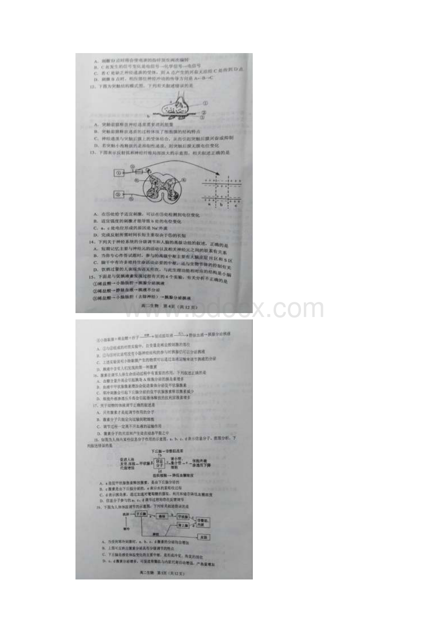 河南省南阳市学年高二上期期中质量评估生物试题.docx_第3页