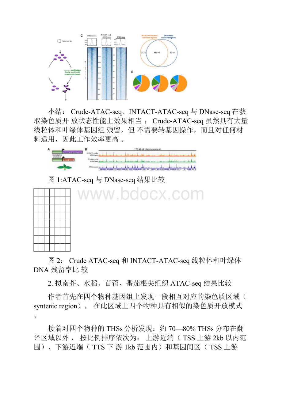 康测科技植物ATACseq技术劲爆来袭.docx_第3页