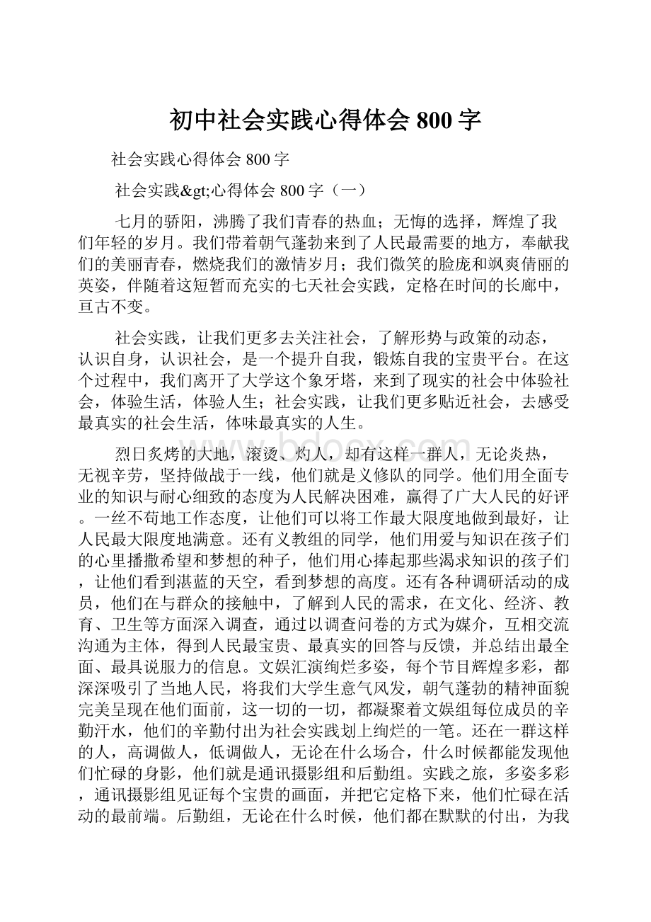 初中社会实践心得体会800字.docx_第1页