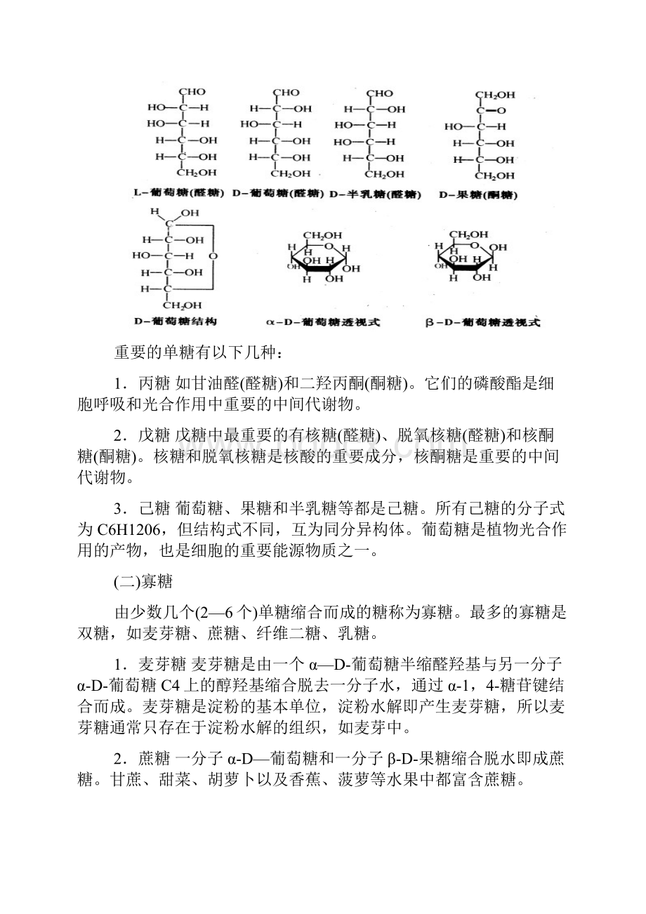 生物竞赛必备细胞生物学.docx_第3页