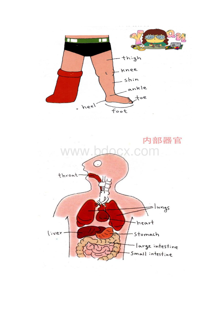 英语趣味学习.docx_第3页