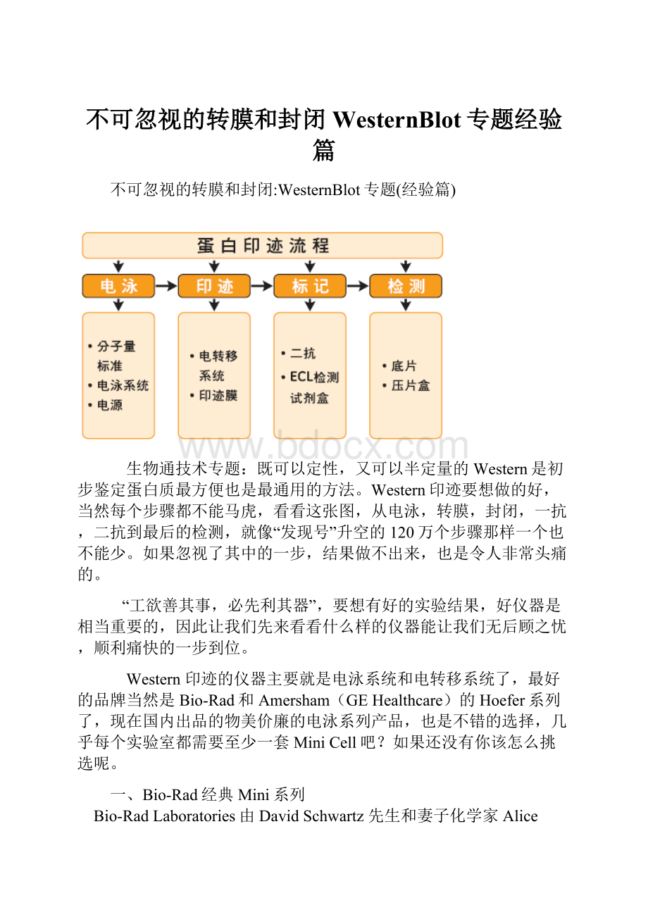 不可忽视的转膜和封闭WesternBlot专题经验篇.docx_第1页