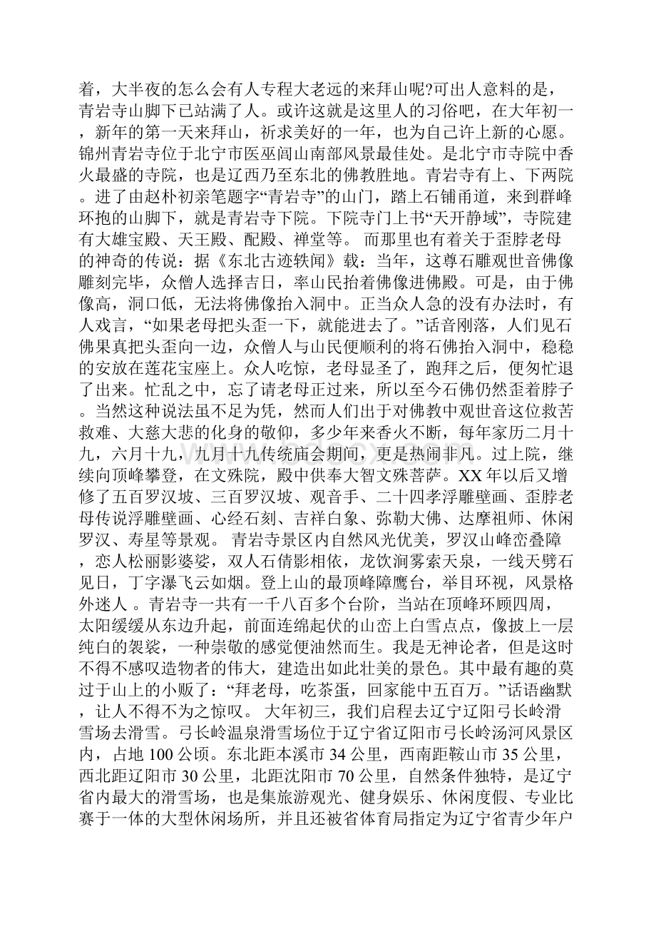 大学生寒假旅游社会实践报告.docx_第3页