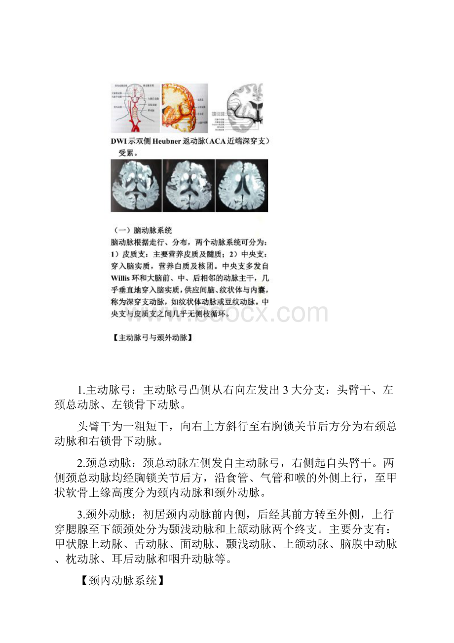 脑血液循环的解剖与生理.docx_第3页