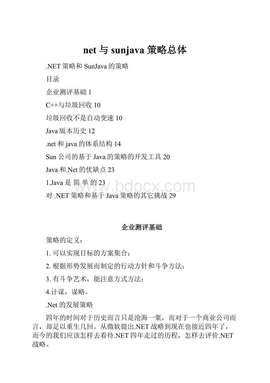 net与sunjava 策略总体.docx_第1页