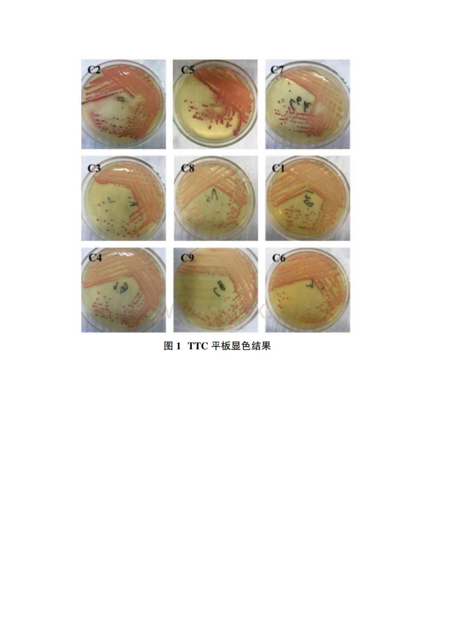 葡萄中酵母菌的筛选及菌株鉴定.docx_第2页