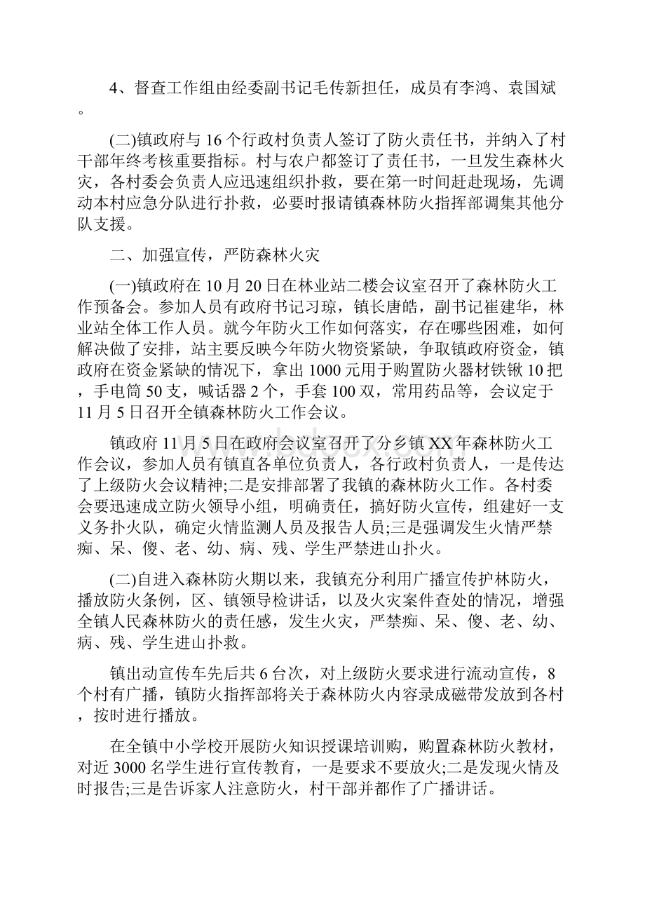 森林防火个人总结反思.docx_第2页