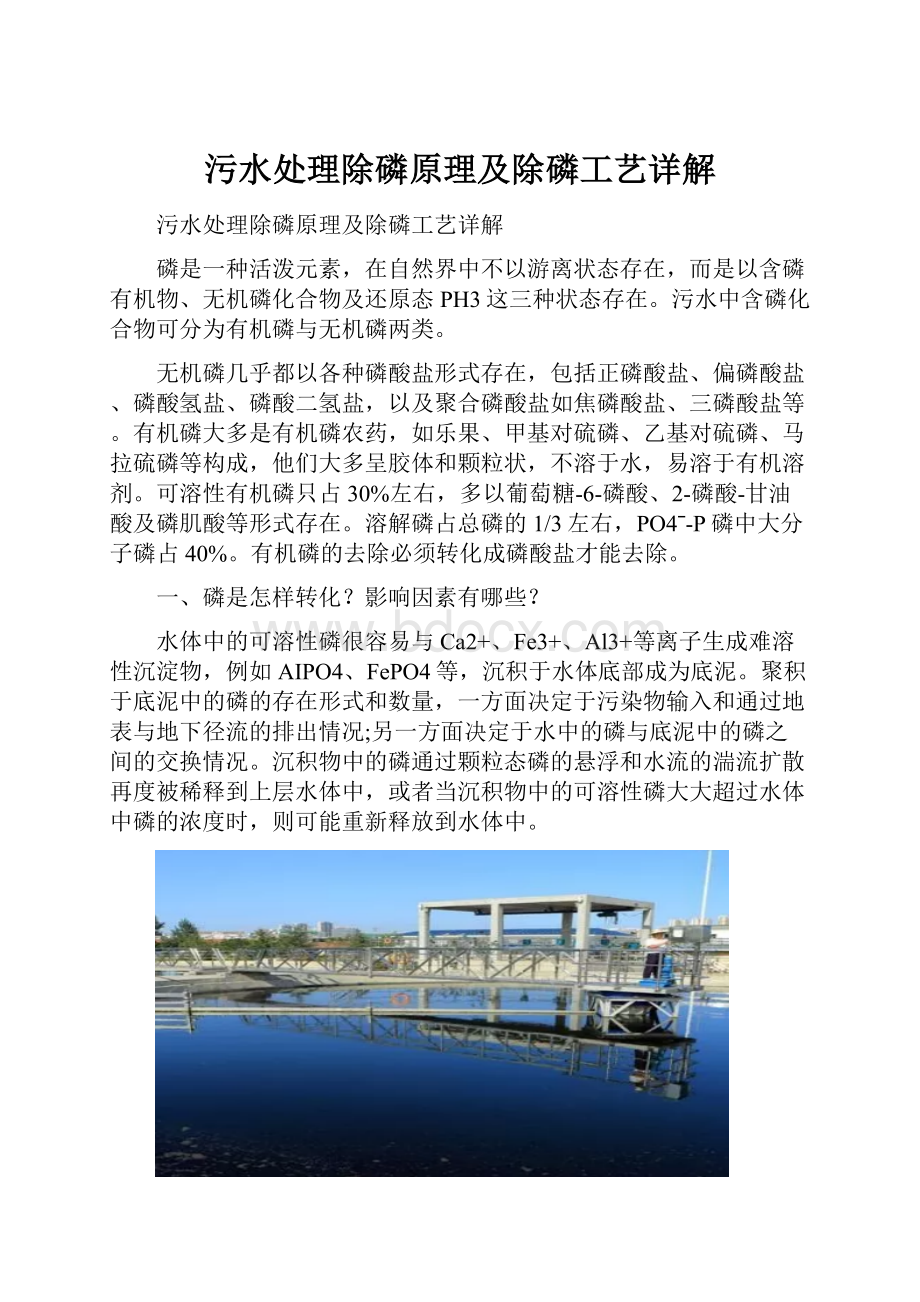 污水处理除磷原理及除磷工艺详解.docx_第1页