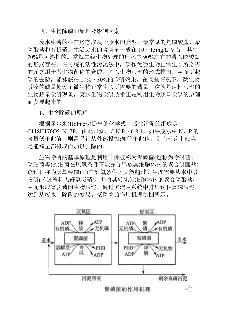 污水处理除磷原理及除磷工艺详解.docx_第3页