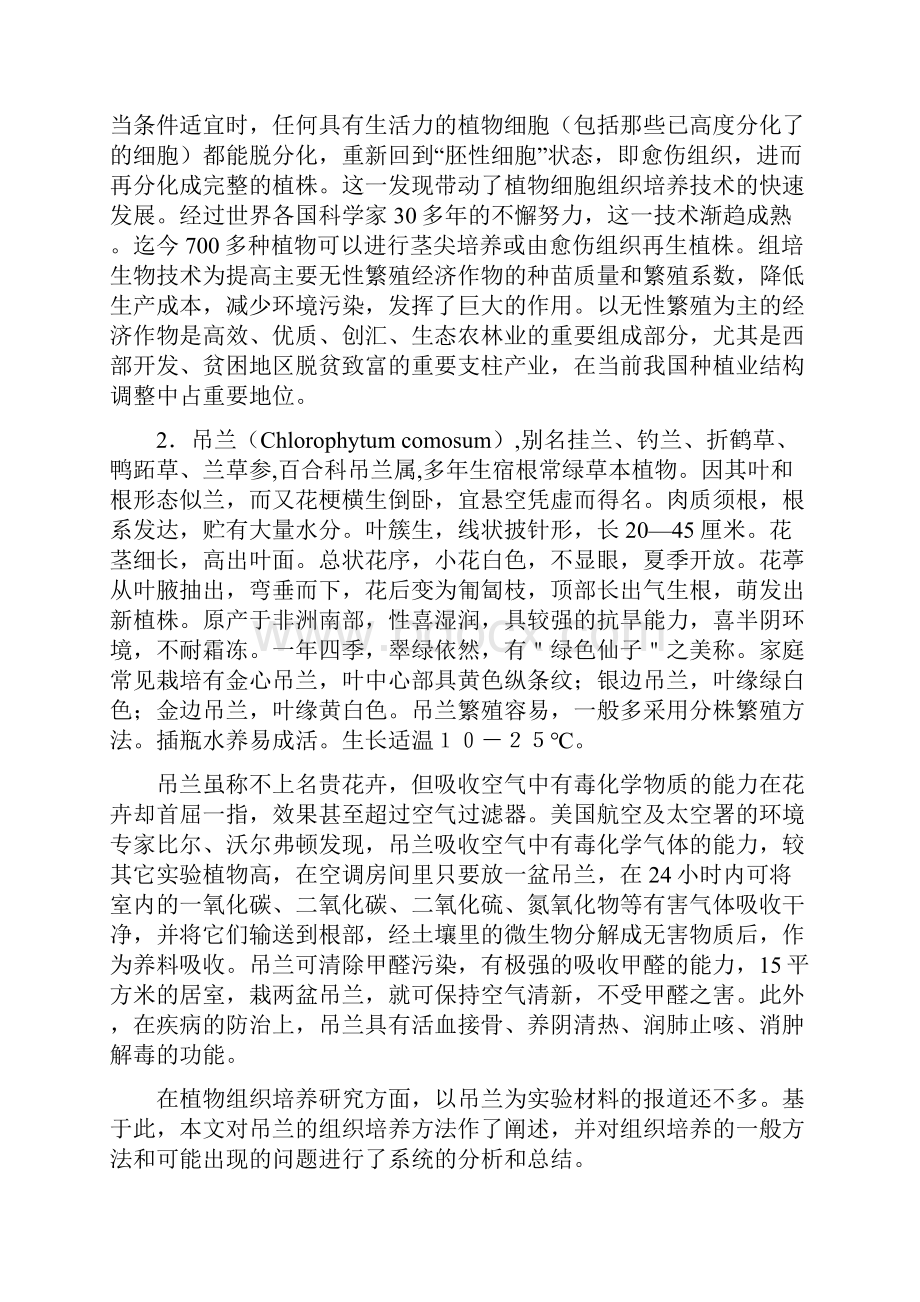 吊兰的组织培养及总结.docx_第2页