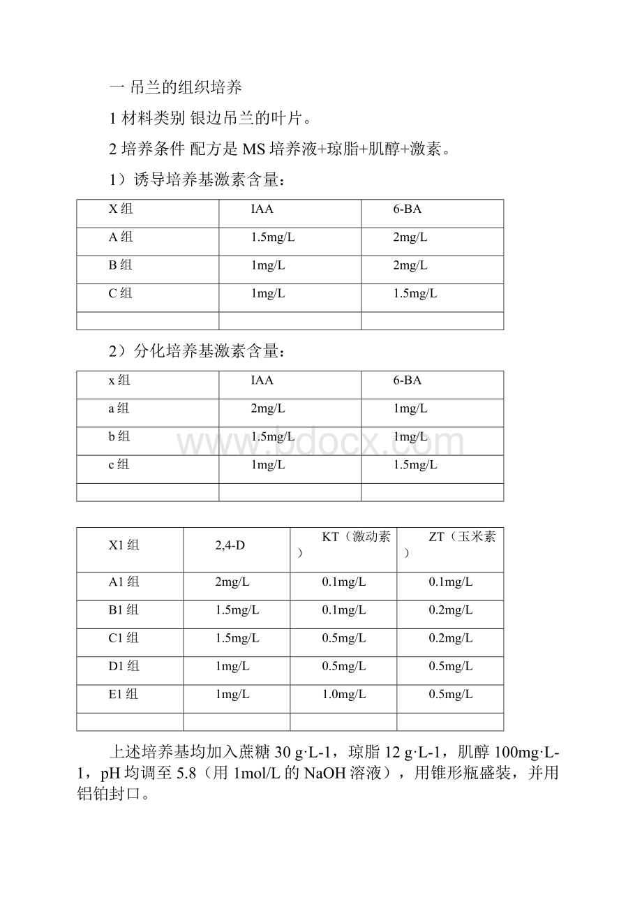 吊兰的组织培养及总结.docx_第3页