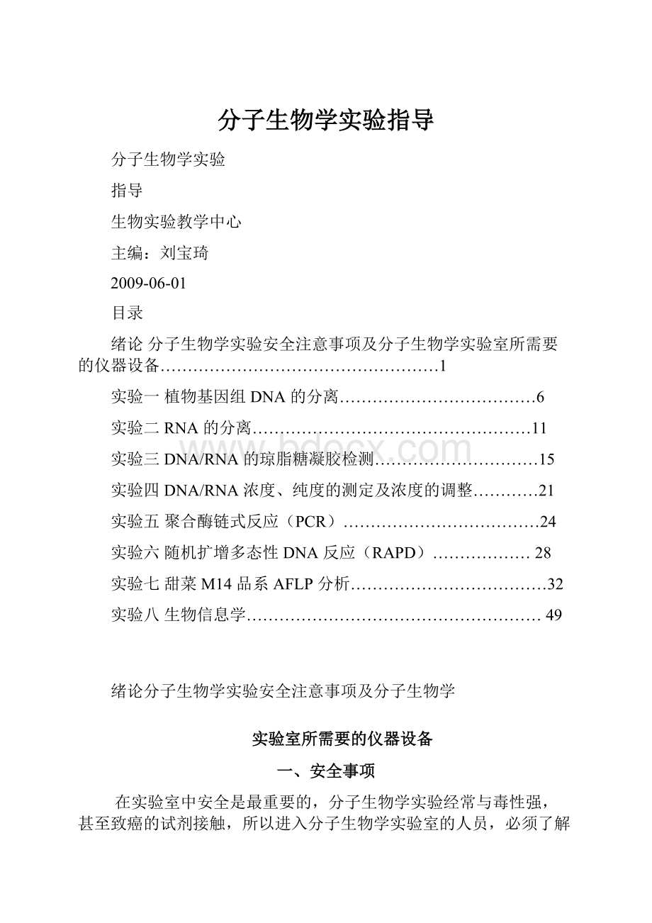 分子生物学实验指导.docx_第1页