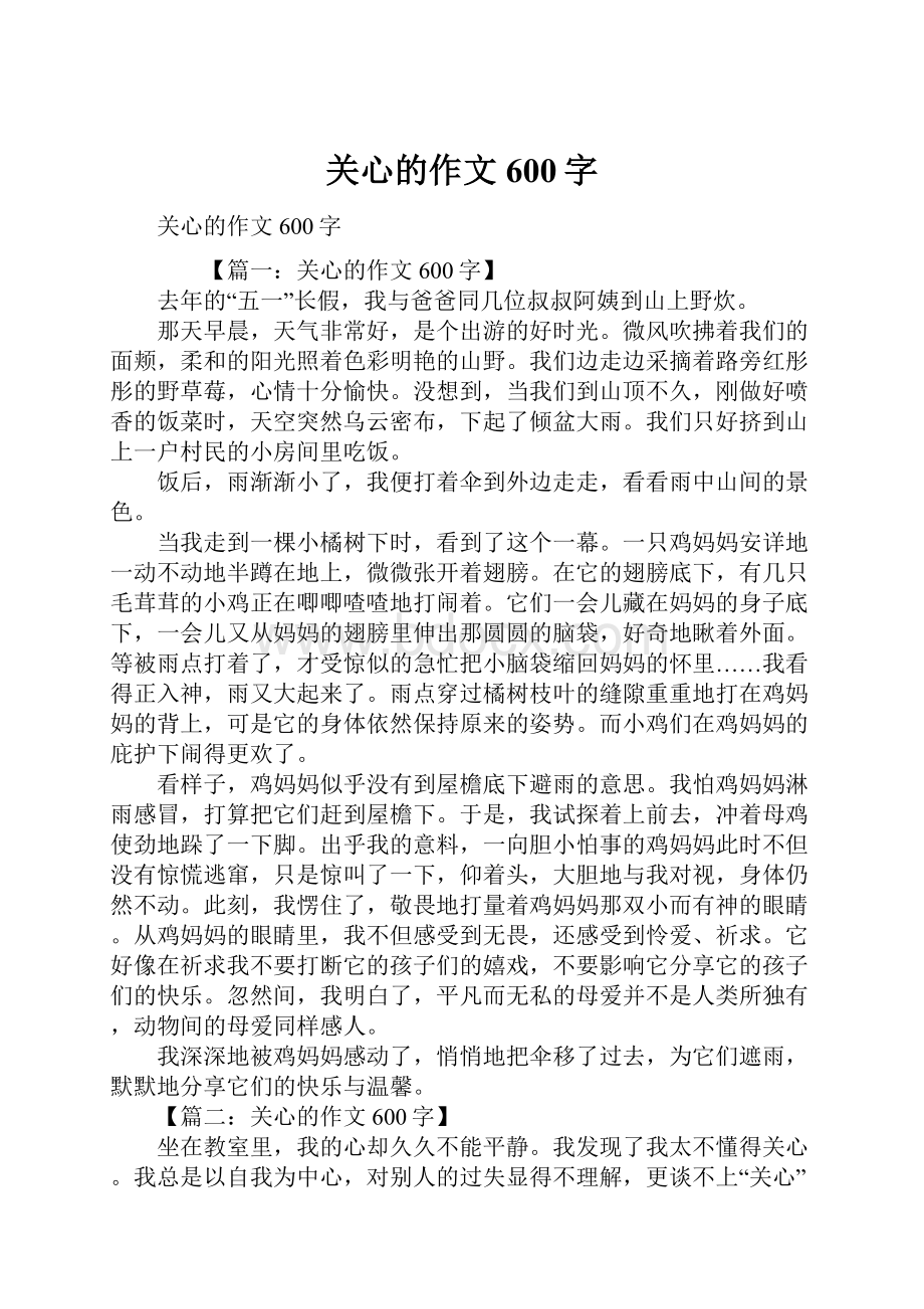 关心的作文600字.docx_第1页