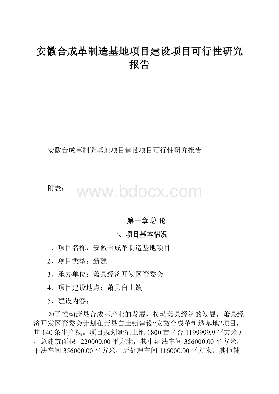 安徽合成革制造基地项目建设项目可行性研究报告.docx