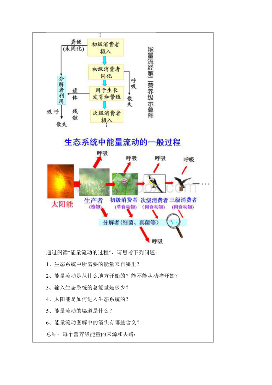 第十五节 生态系统的能量流动.docx_第3页