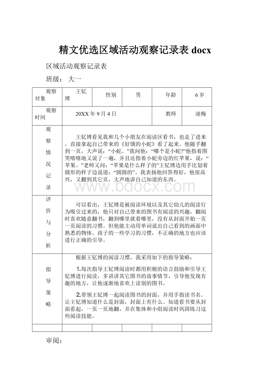 精文优选区域活动观察记录表docx.docx