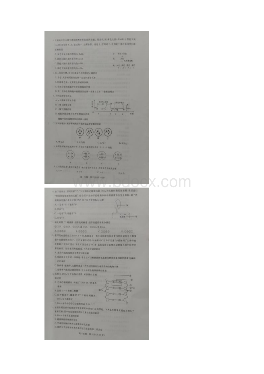 学年河北省张家口市高一下学期期末考试生物试题 扫描版含答案.docx_第2页