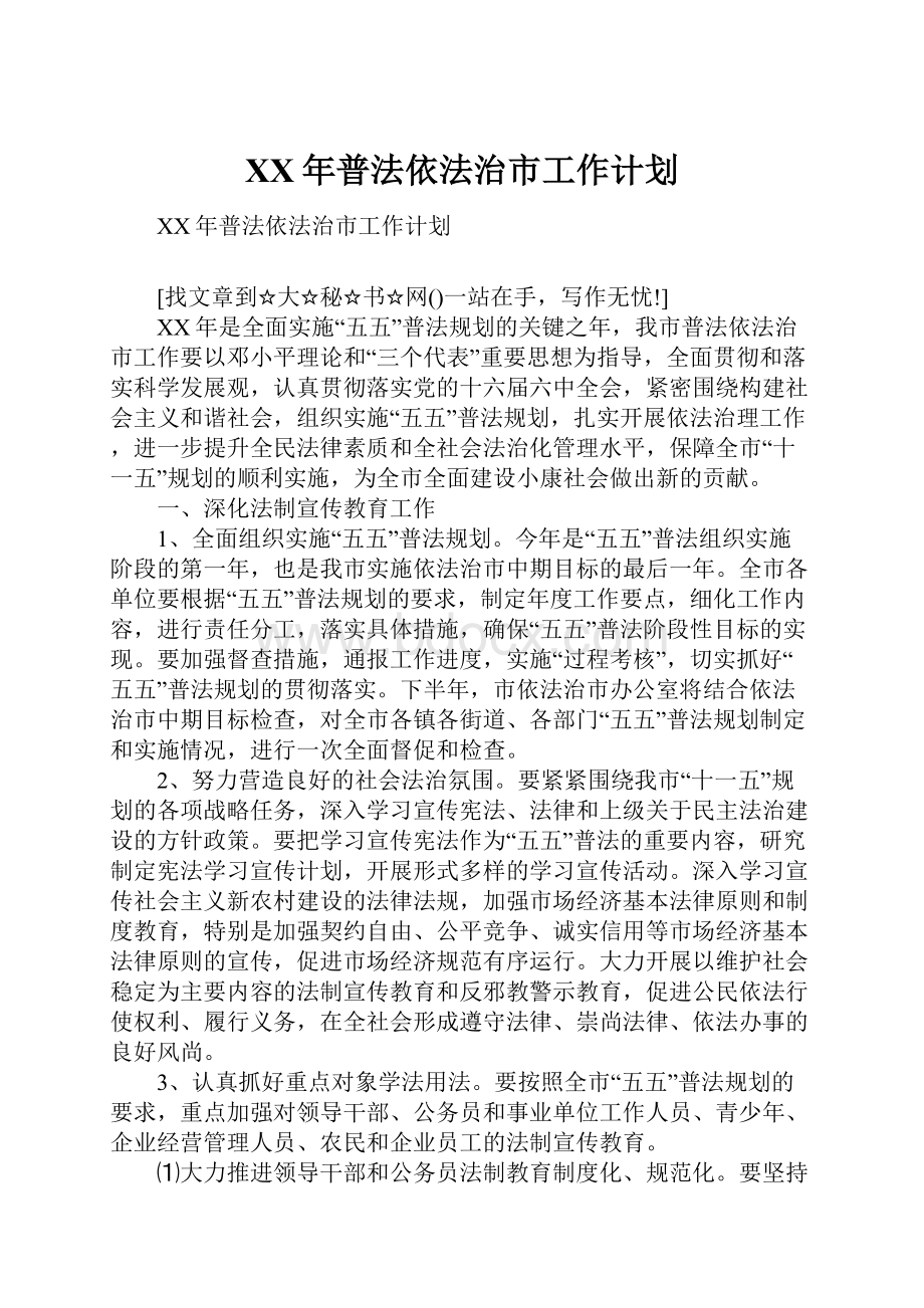 XX年普法依法治市工作计划.docx